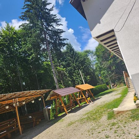 Cabana Valea Bradului Nucşoara Exterior foto