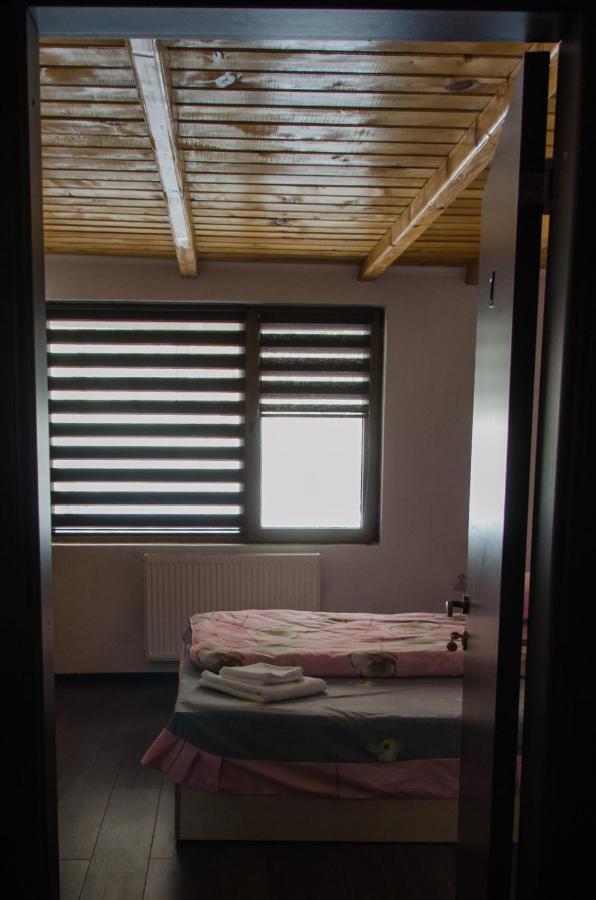 Cabana Valea Bradului Nucşoara Exterior foto