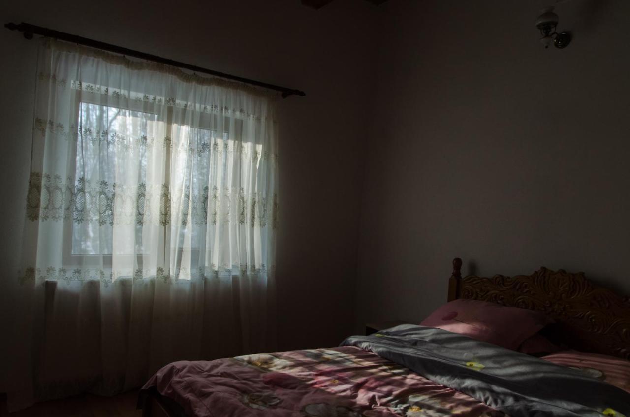 Cabana Valea Bradului Nucşoara Exterior foto