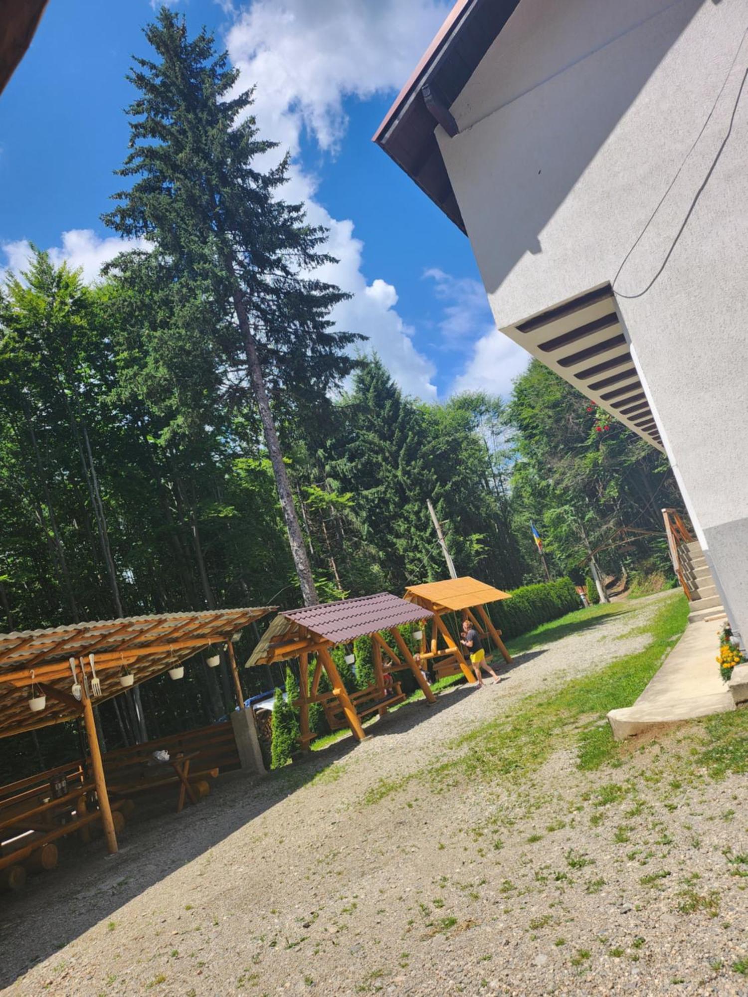 Cabana Valea Bradului Nucşoara Exterior foto
